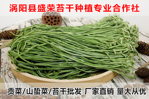 聊城哪里有贡菜供应厂家电话