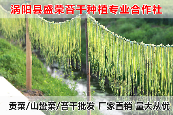 西安哪里有出售大量贡菜厂家电话