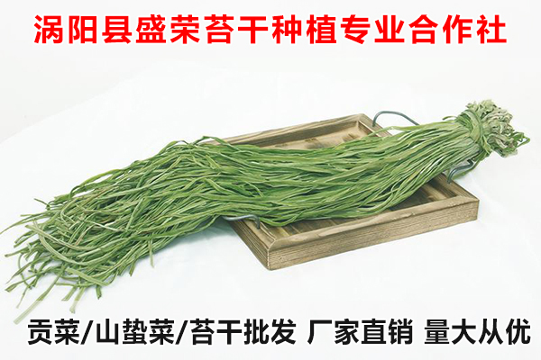 桂林哪里有批发贡菜厂家