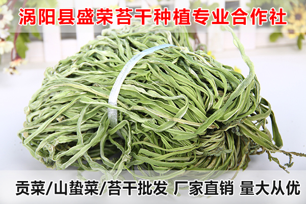 亳州哪里有出售贡菜厂