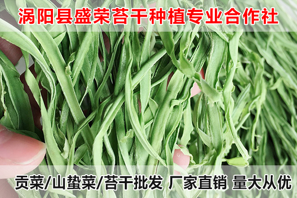 聊城哪里有贡菜供应厂家电话