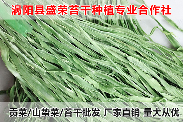亳州哪里有出售贡菜厂