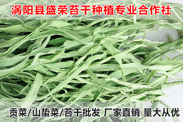 亳州哪里有出售贡菜厂