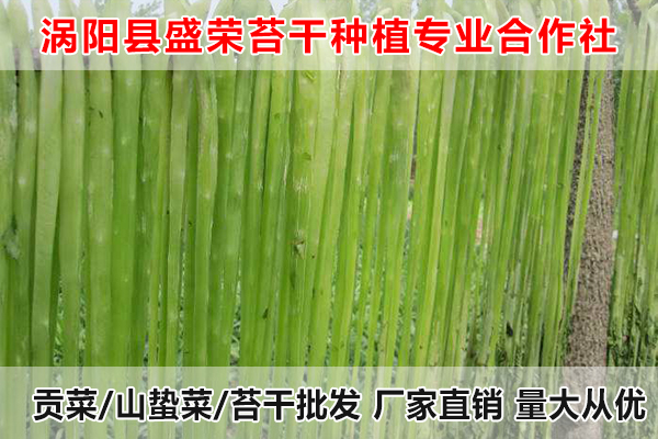 西安哪里有出售大量贡菜厂家电话