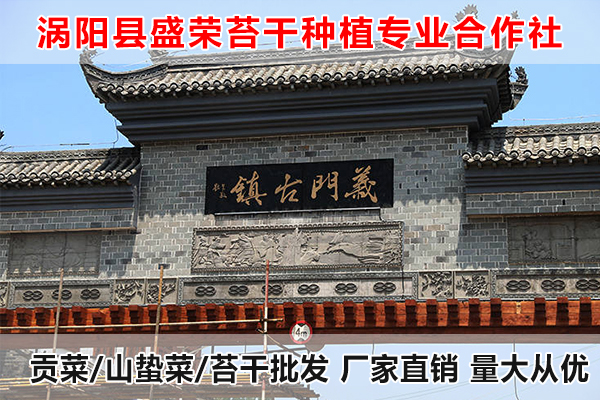 香港哪里有贡菜大量供应厂家